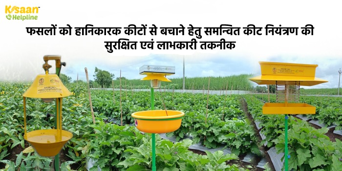 फसलों को हानिकारक कीटों से बचाने हेतु समन्वित कीट नियंत्रण की सुरक्षित एवं लाभकारी तकनीक फसलों को हानिकारक कीटों से बचाने हेतु समन्वित कीट नियंत्रण की सुरक्षित एवं लाभकारी तकनीक